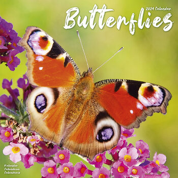 Calendário 2024 Butterflies