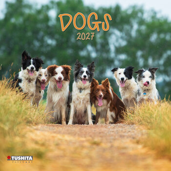 Calendário 2027 Cães | 16 meses