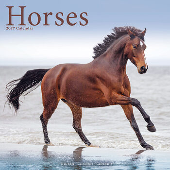 Calendário 2027 Cavalos