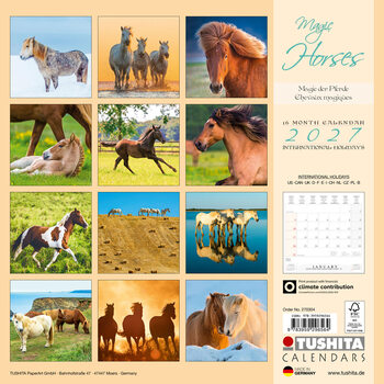 Calendário 2027 Cavalos mágicos | 16 meses