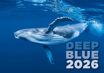 Calendário 2026 Deep Blue