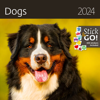 Calendário 2024 Dogs