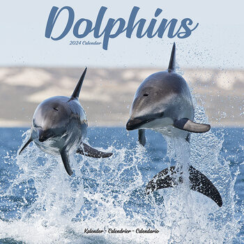 Calendário 2024 Dolphins