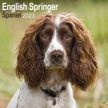 Calendário 2023 Eng Springer Spaniel