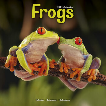Calendário 2024 Frogs