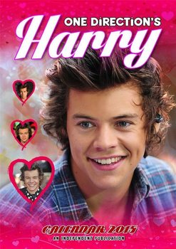 Calendário 2015 Harry Styles - One Direction