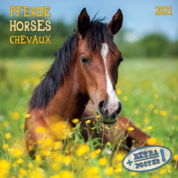 Calendário 2027 Horses