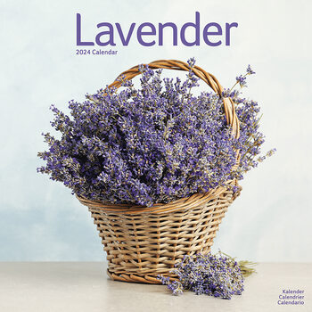 Calendário 2024 Lavender