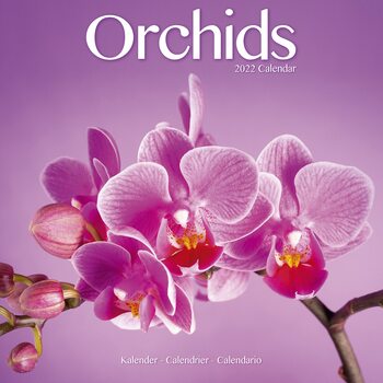 Calendário 2022 Orchids