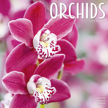 Calendário 2024 Orchids