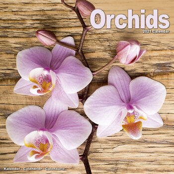 Calendário 2021 Orchids