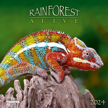 Calendário 2027 Rainforest Alive