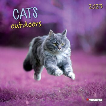 Calendário 2023 Cats Outdoors