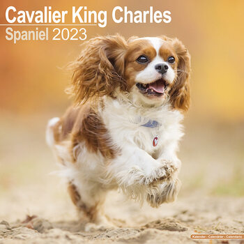 Calendário 2023 Cavalier King Charles