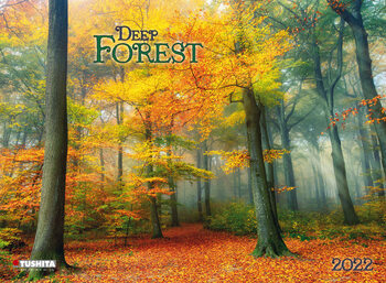 Calendário 2022 Deep Forest