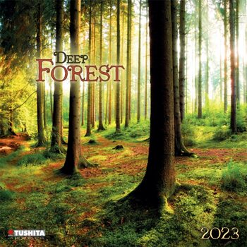 Calendário 2023 Deep Forest
