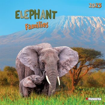 Calendário 2023 Elephant Families