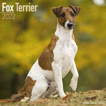 Calendário 2022 Fox Terrier