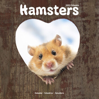 Calendário 2023 Hamsters