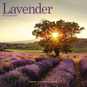 Calendário 2023 Lavender