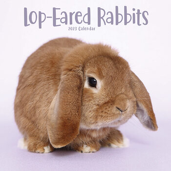 Calendário 2023 Lop-Eared Rabbits