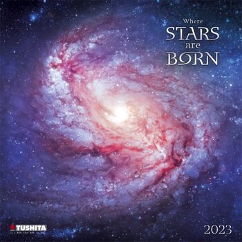 Calendário 2023 Where Stars are Born