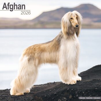 Календар 2027 Afghan