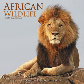 Календар 2027 African Wildlife
