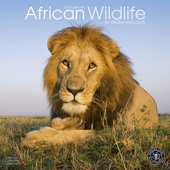 Календар 2027 African Wildlife