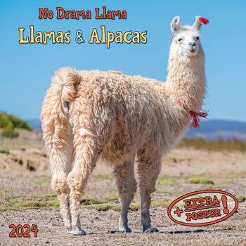 Календар 2027 Alpacas