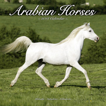 Календар 2027 Arabian Horses