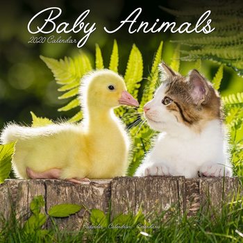 Календар 2027 Baby Animals