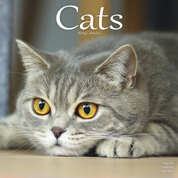 Календар 2027 Cats