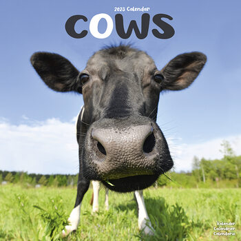 Календар 2027 Cows