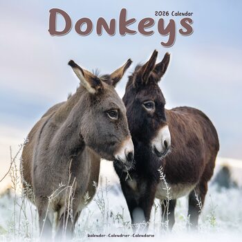 Календар 2027 Donkeys