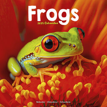 Календар 2027 Frogs