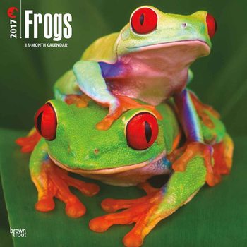 Календар 2027 Frogs