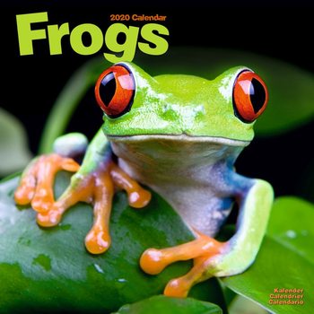 Календар 2027 Frogs