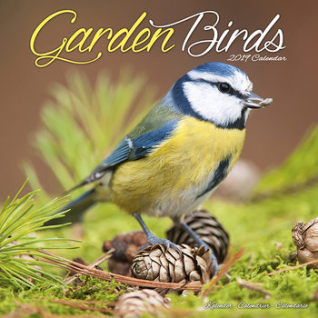Календар 2027 Garden Birds
