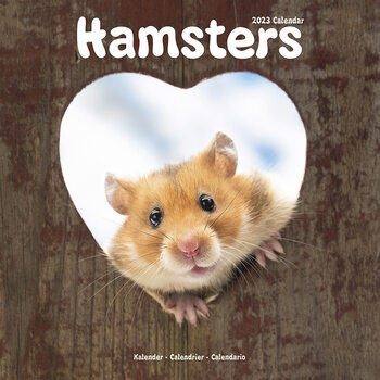 Календар 2027 Hamsters