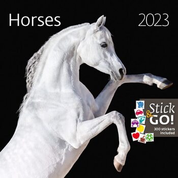 Календар 2027 Horses