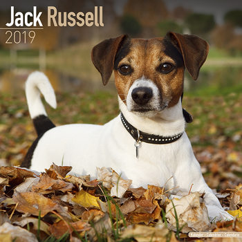 Календар 2027 Jack Russell