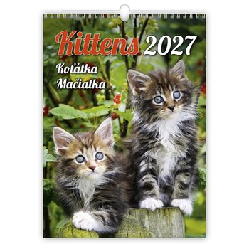 Календар 2027 Kittens