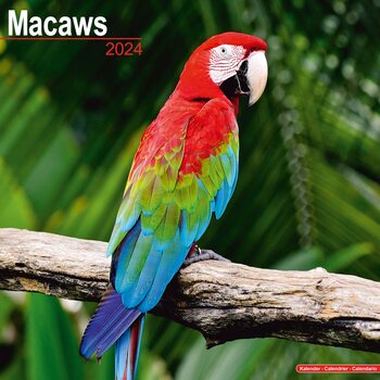 Календар 2027 Macaws