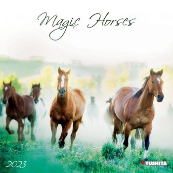 Календар 2027 Magic Horses