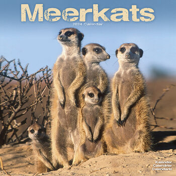 Календар 2027 Meerkats