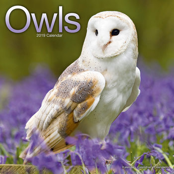 Календар 2027 Owls
