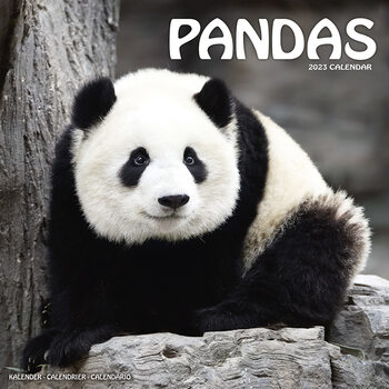 Календар 2027 Pandas