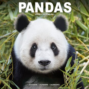 Календар 2027 Pandas