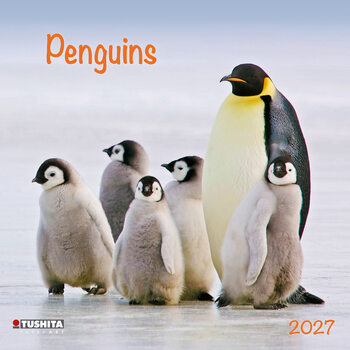 Календар 2027 Penguins | 16-месечен